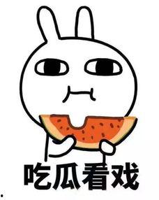 娱乐吃瓜酱什么系的,揭秘娱乐圈背后的神秘势力